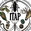 ITAP Logo