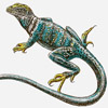 Collard lizard
